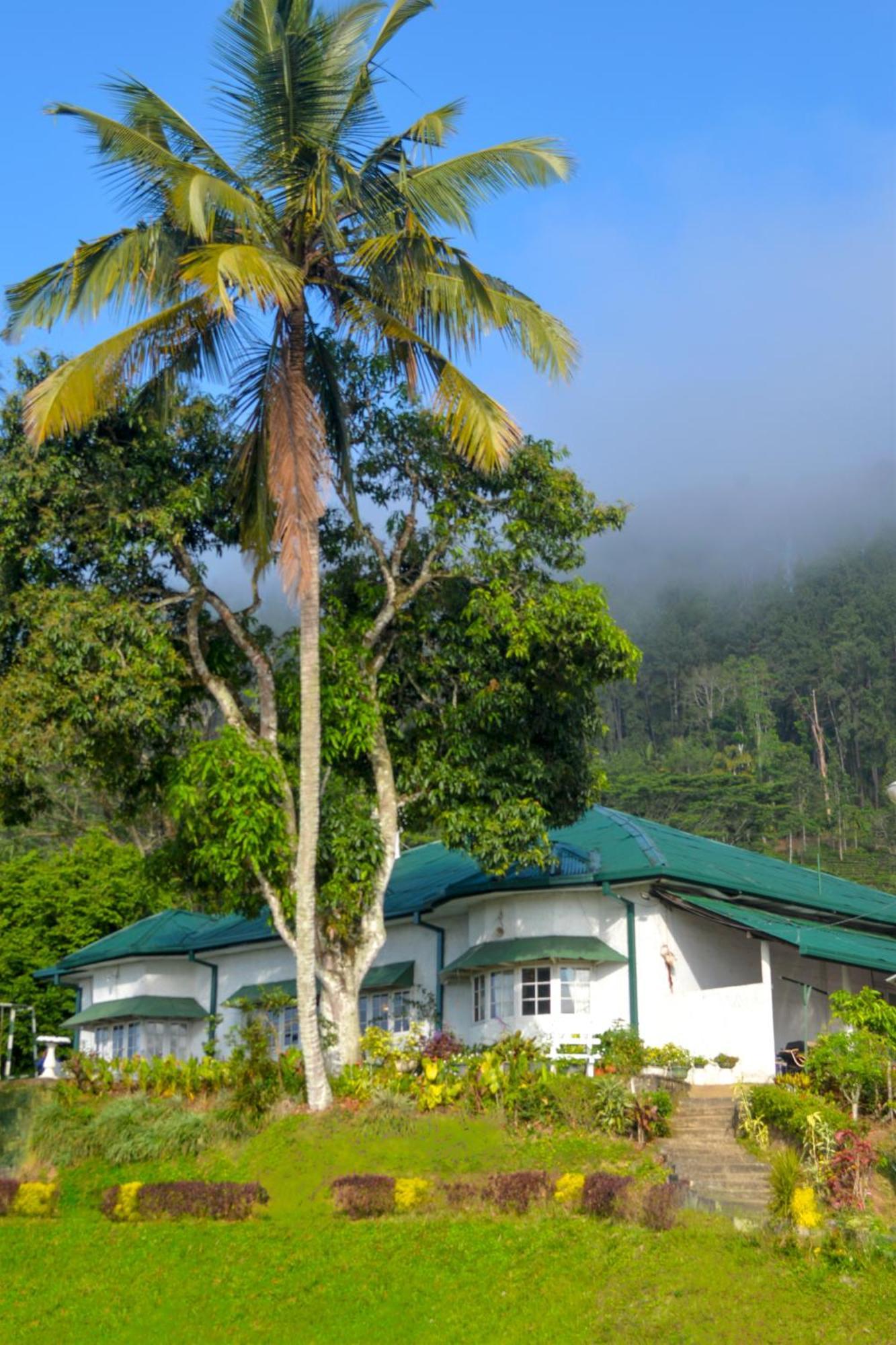 Madulkele Hatale Tea Estate Bungalow מראה חיצוני תמונה