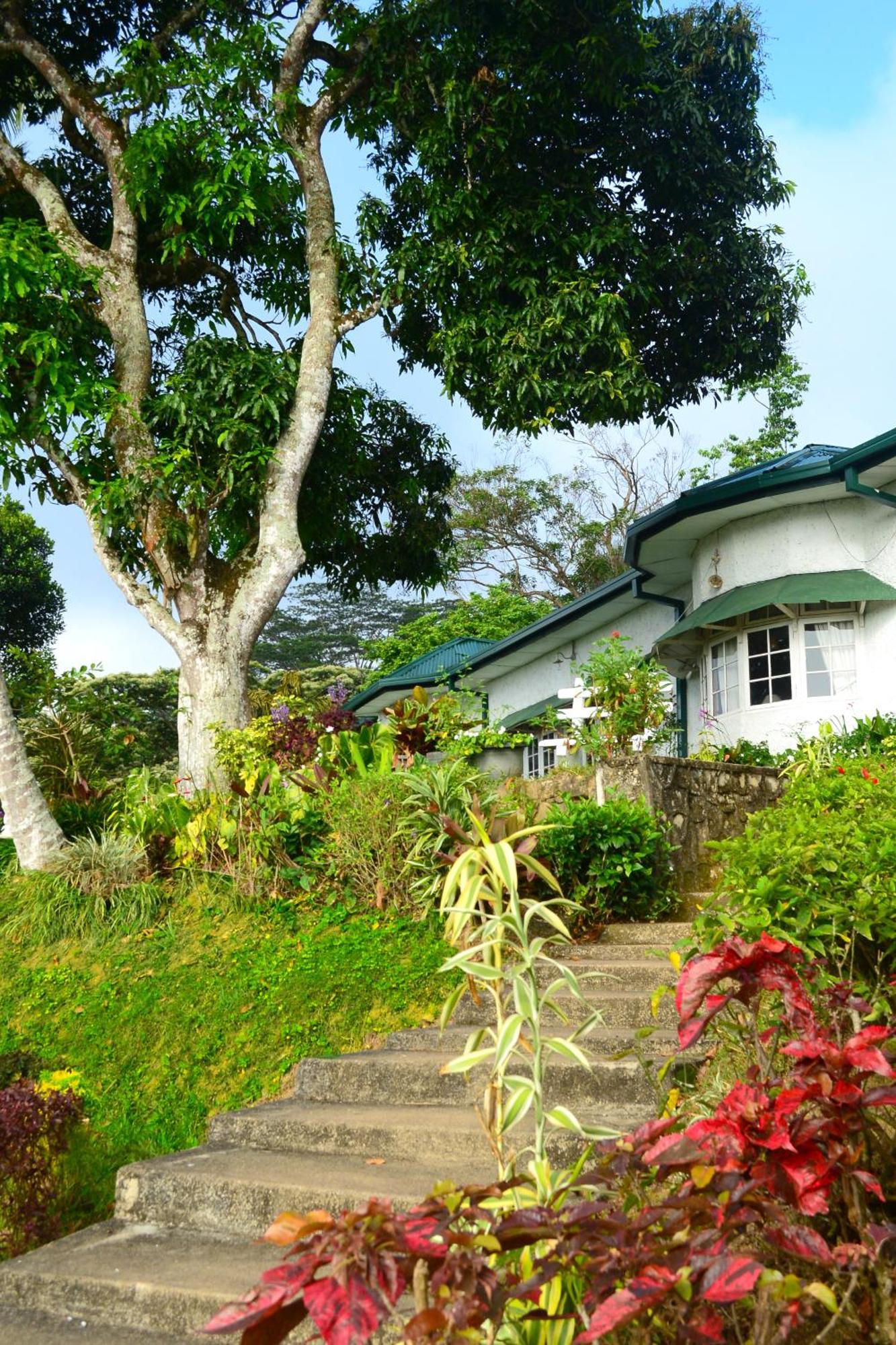 Madulkele Hatale Tea Estate Bungalow מראה חיצוני תמונה