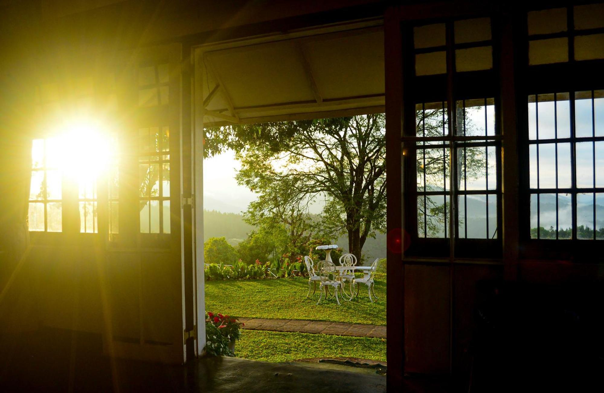 Madulkele Hatale Tea Estate Bungalow מראה חיצוני תמונה