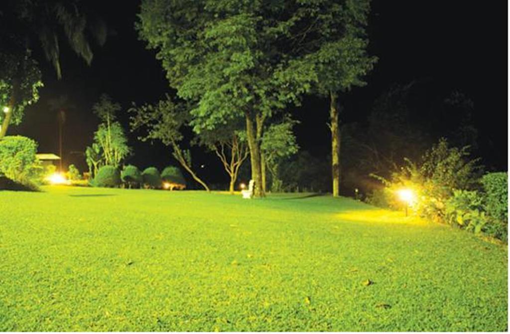 Madulkele Hatale Tea Estate Bungalow מראה חיצוני תמונה